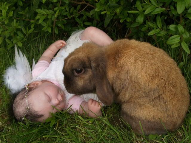 muñecos que parecen bebes reales muñecos que parecen bebes reales