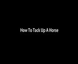 how to tack