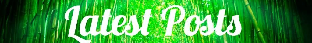 photo NewWallpaperbanner4.jpg