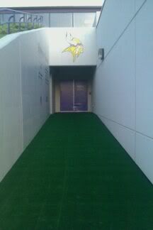 Indoor/Outdoor Carpet