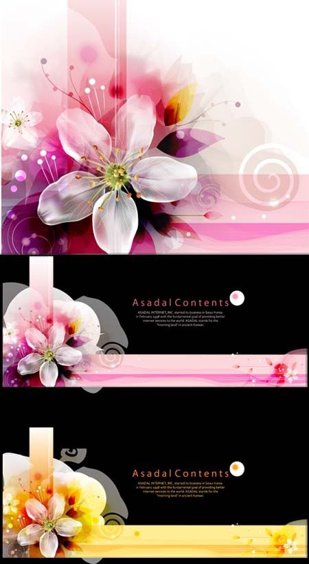 Stock Asadal Floral Vector Corners Stock Asadal Floral Vector Corners