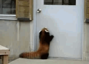 *