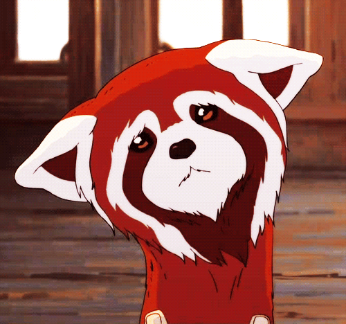 Pabu soaked and making a sad face