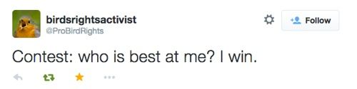 Tweet from probirdrights: Contest: Who is best at me? I win!