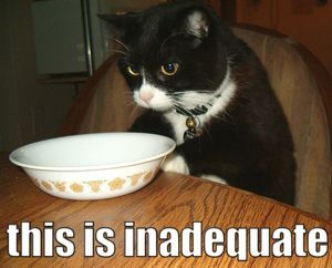 cat looks disappointed by what is in his bowl and caption reads this is inadequate