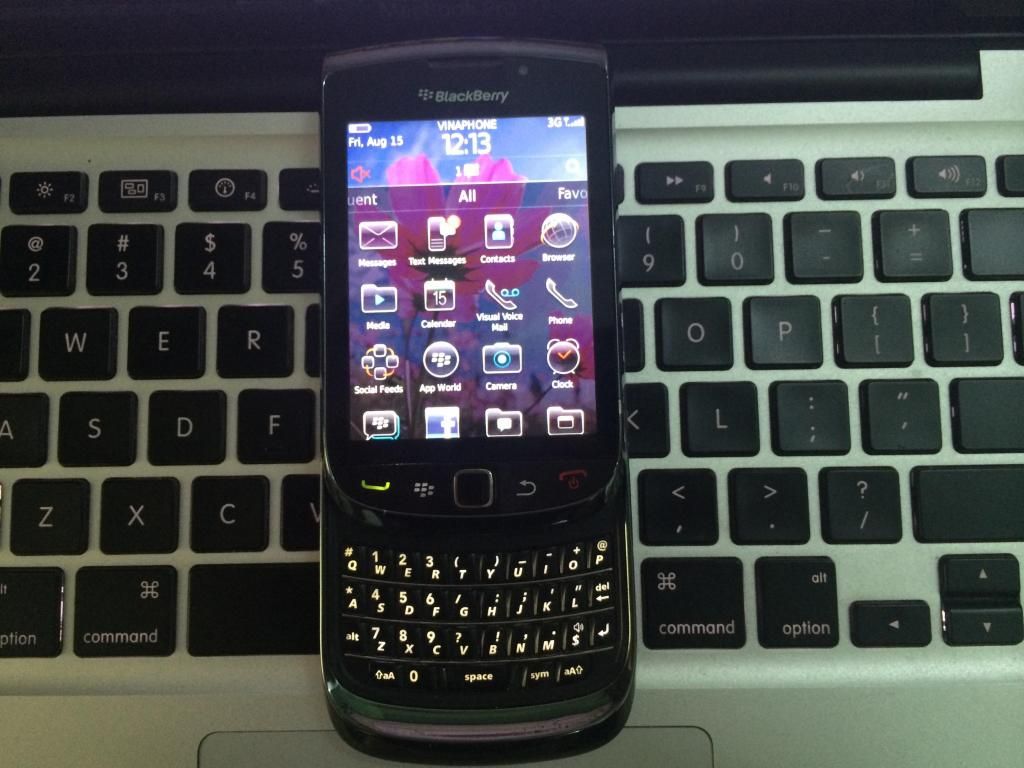 bán Blackberry 9800