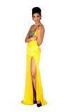 Miss Universe 2011 Official Long Evening Gown Portraits India Vasuki Sunkavalli