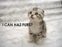 [Image: lolcats.png]