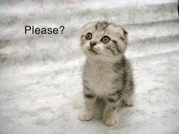 [Image: Please.png]