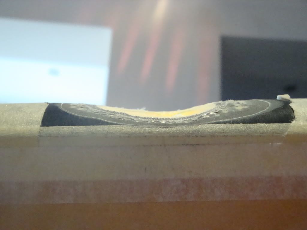 DSC01106.jpg