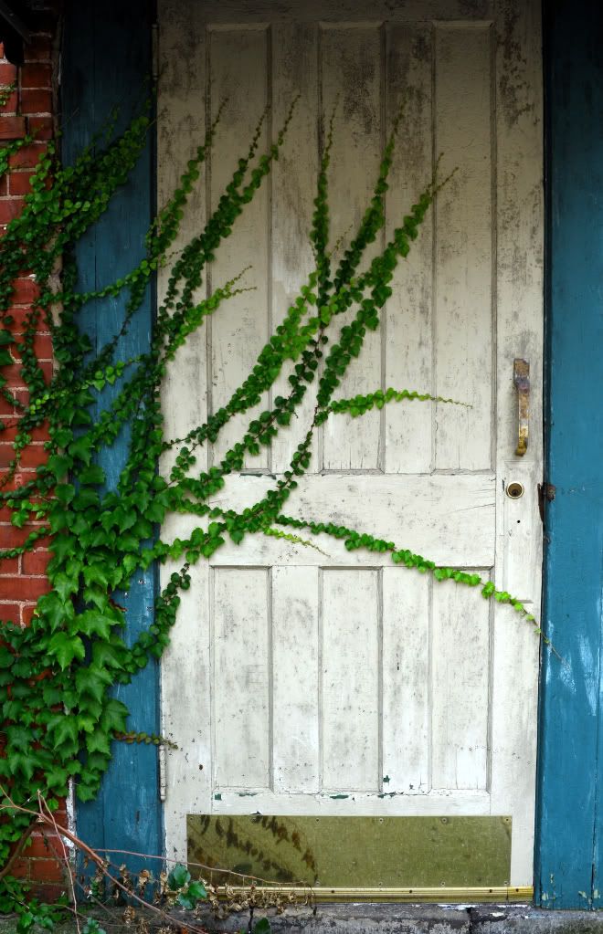 Encroachment Do you have any personal image examples? Audiokarma