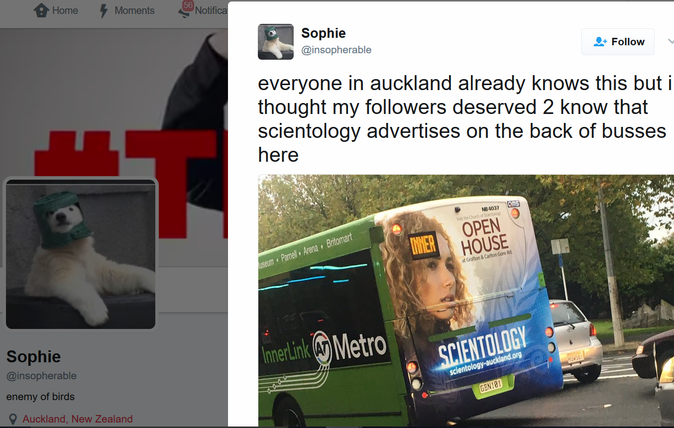 Auckland.bus.png