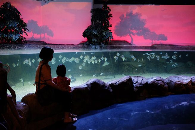 photo JakartaAquarium08_zpskarpulu4.jpg