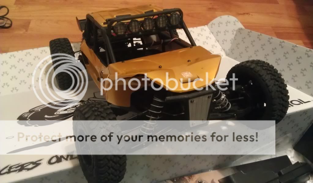 exo terra buggy for sale