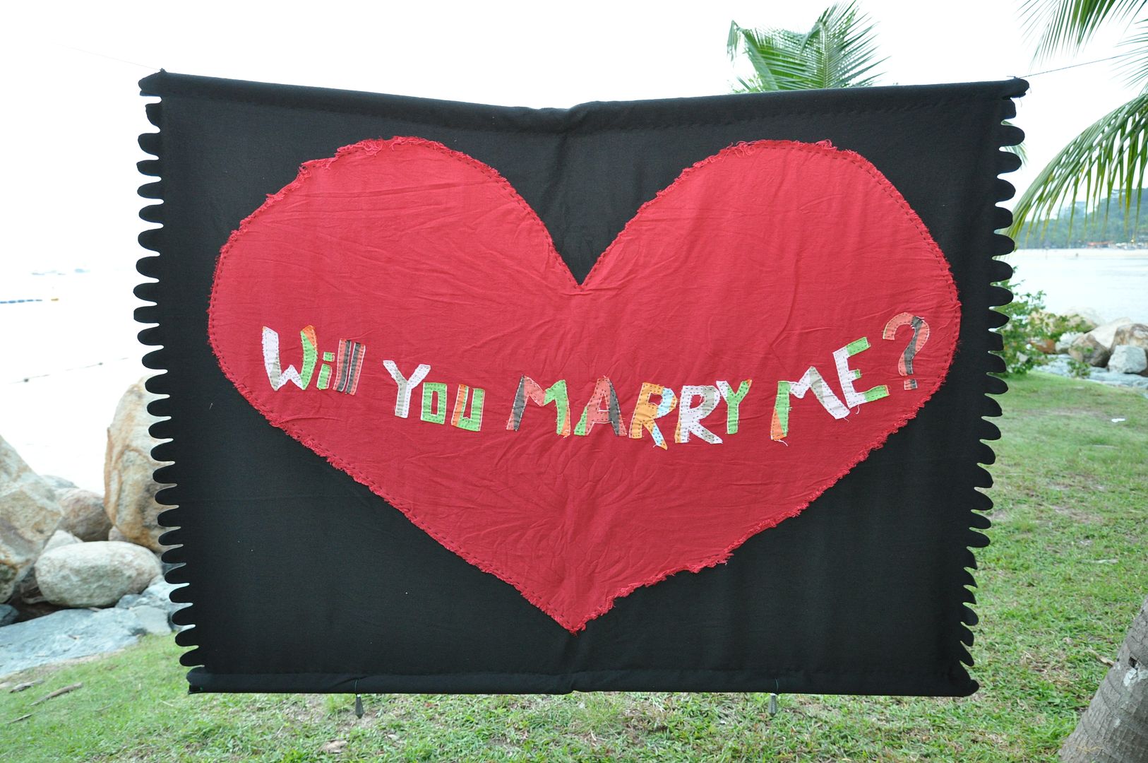  photo 20110212-SimonProposal82_zpsb01d35f1.jpg