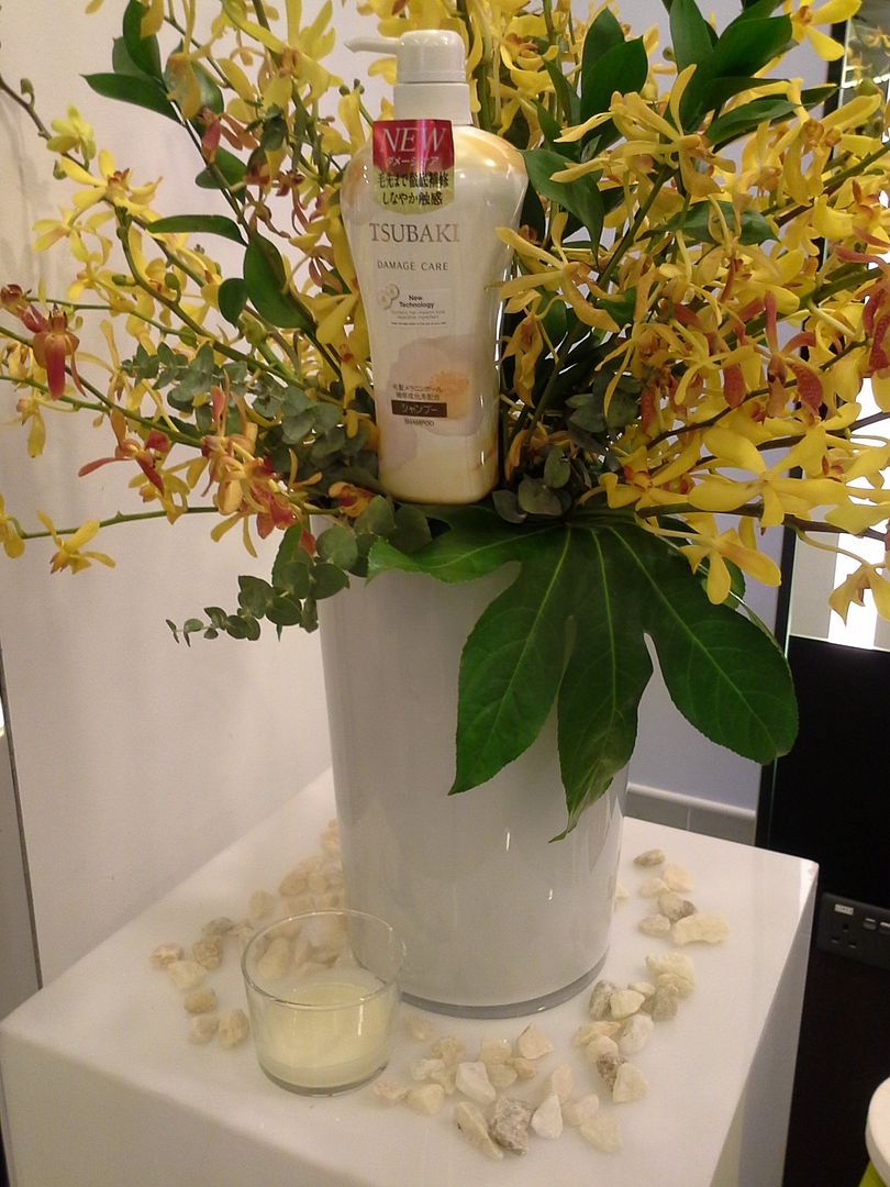  photo 20130610_190327_zps110b9eb4.jpg