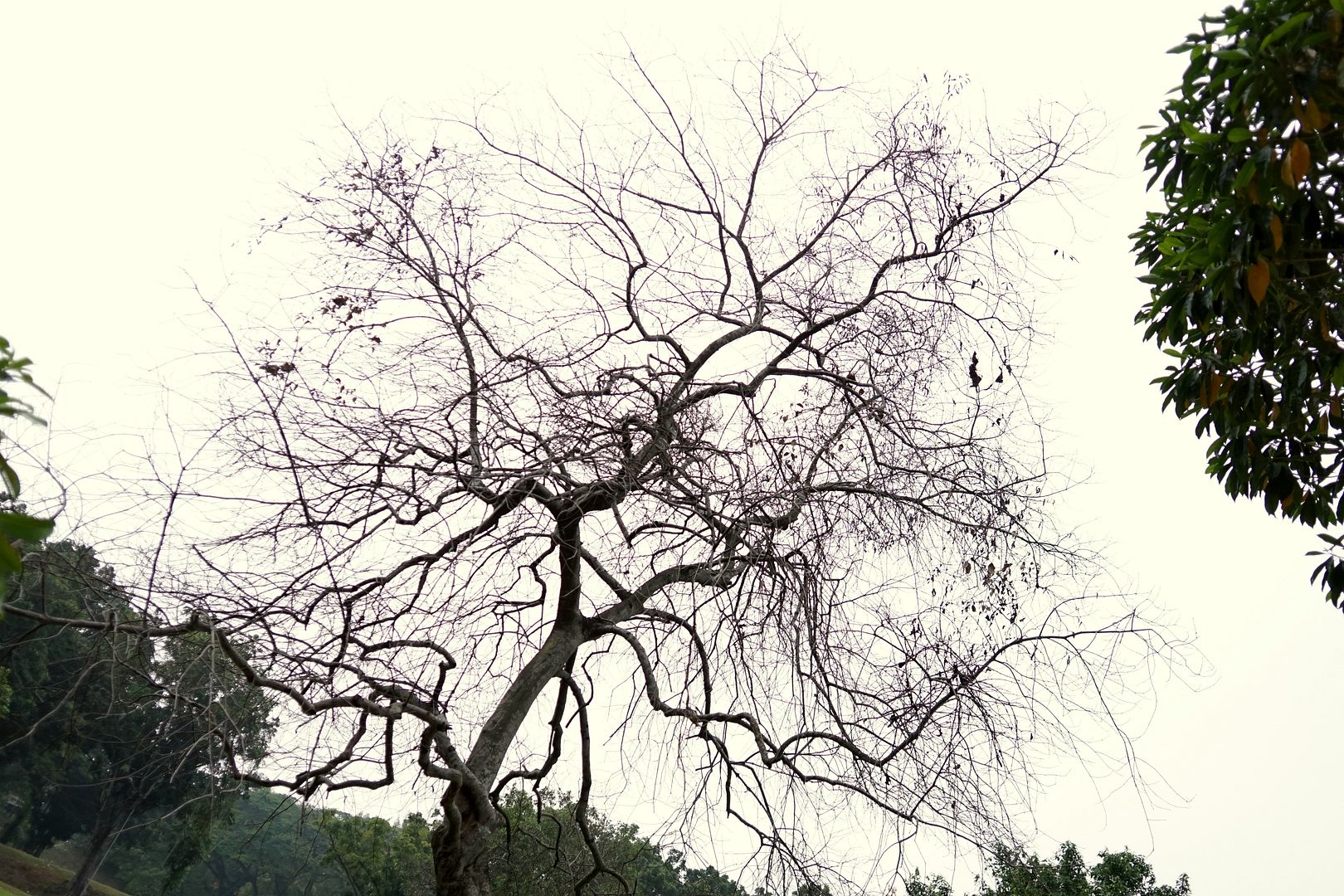  photo 1_zpsfkl8rj6f.jpg