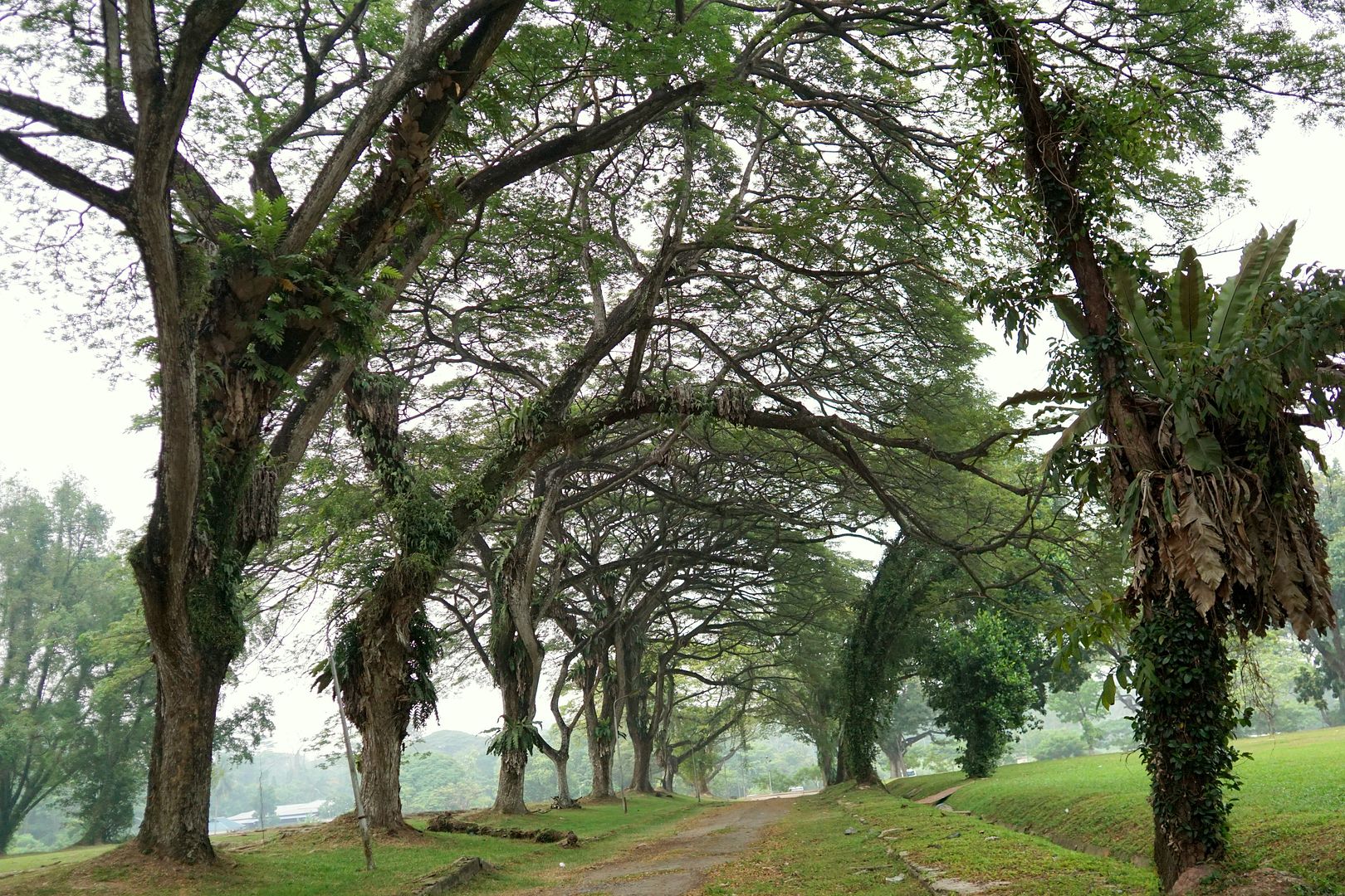  photo 3_zps2mvfiiim.jpg