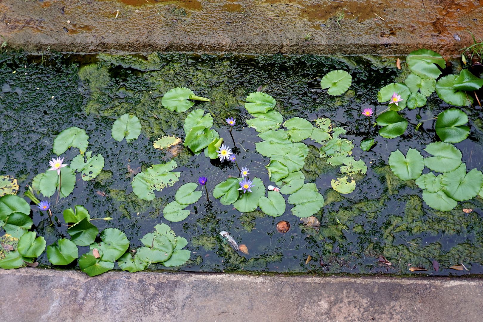  photo 4_zpszuq49wet.jpg