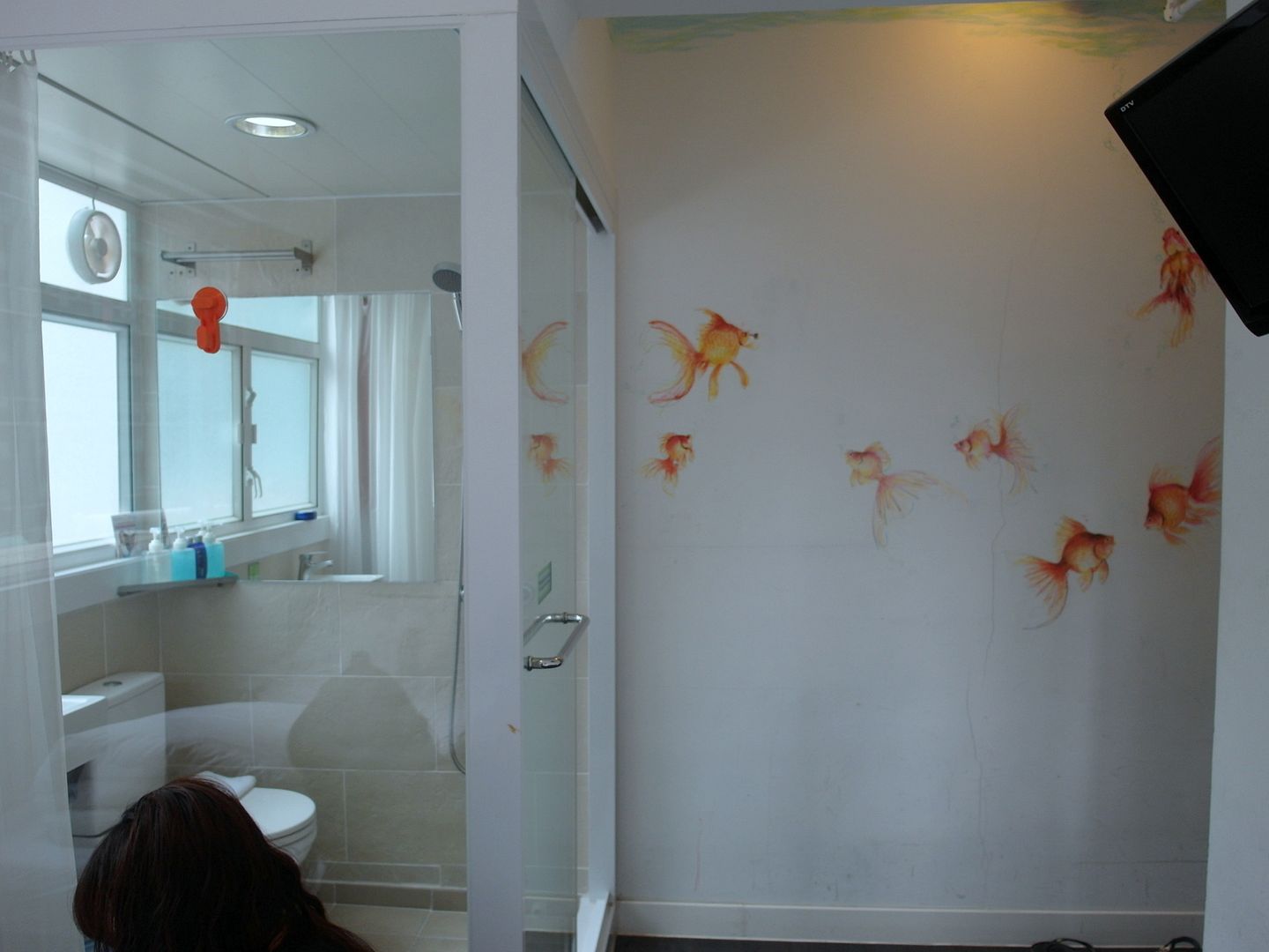  photo SAM_6511_zpsor2wuxcv.jpg