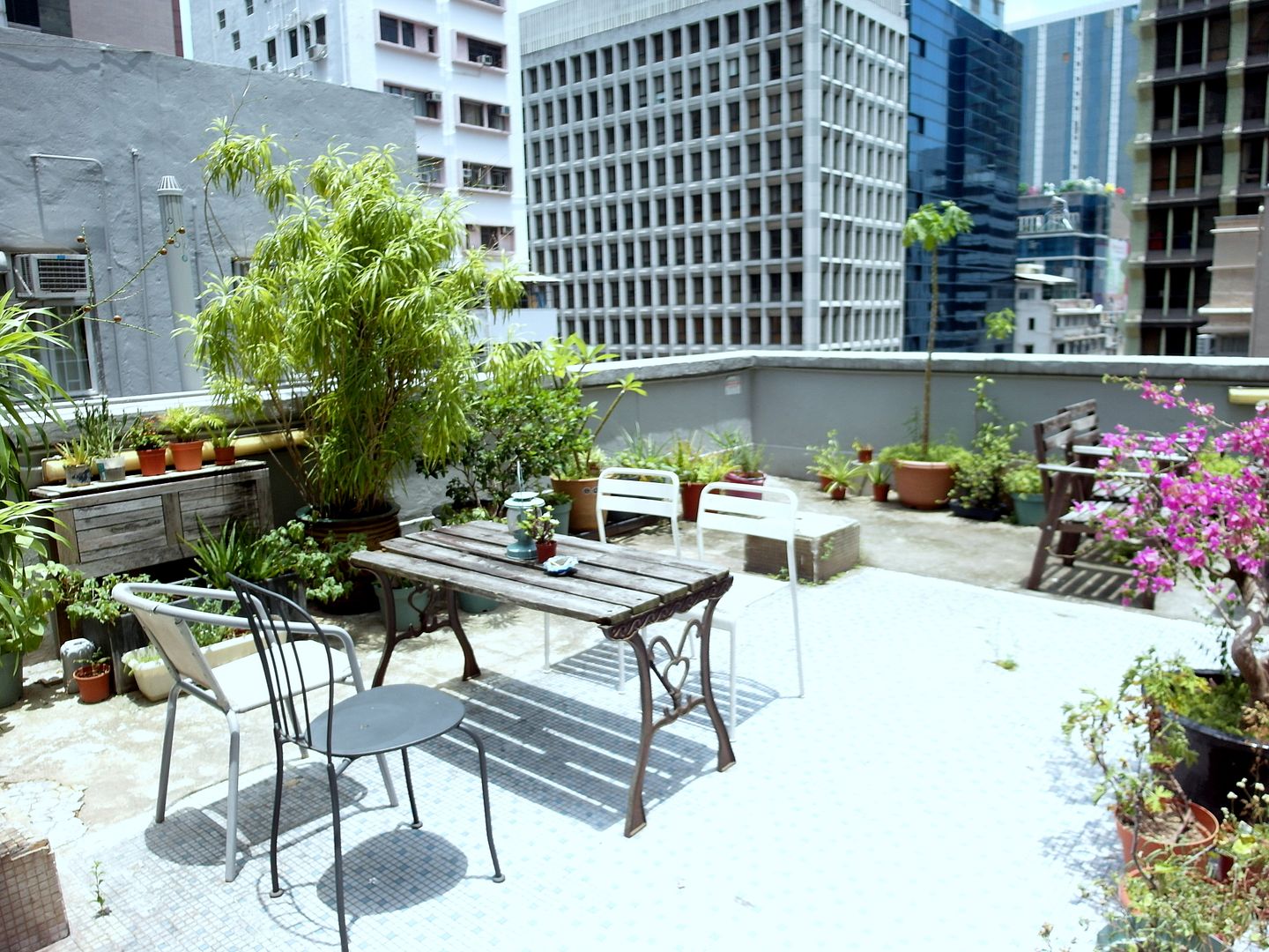  photo SAM_6531_zpsge6vbn8n.jpg