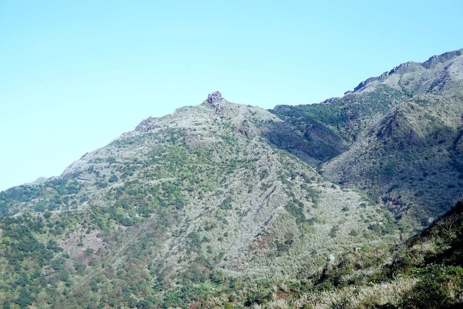  photo DSC00231_zpstmo38f7a.jpg