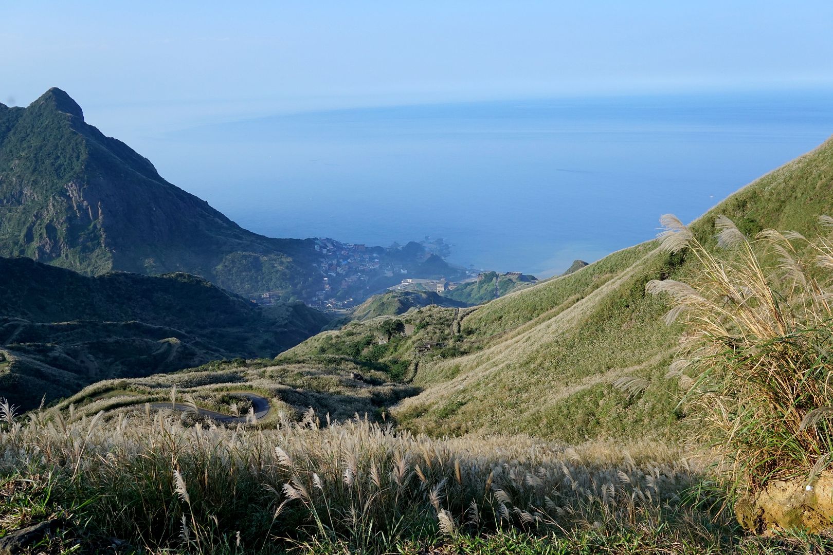  photo DSC00276_zpskfujfhar.jpg