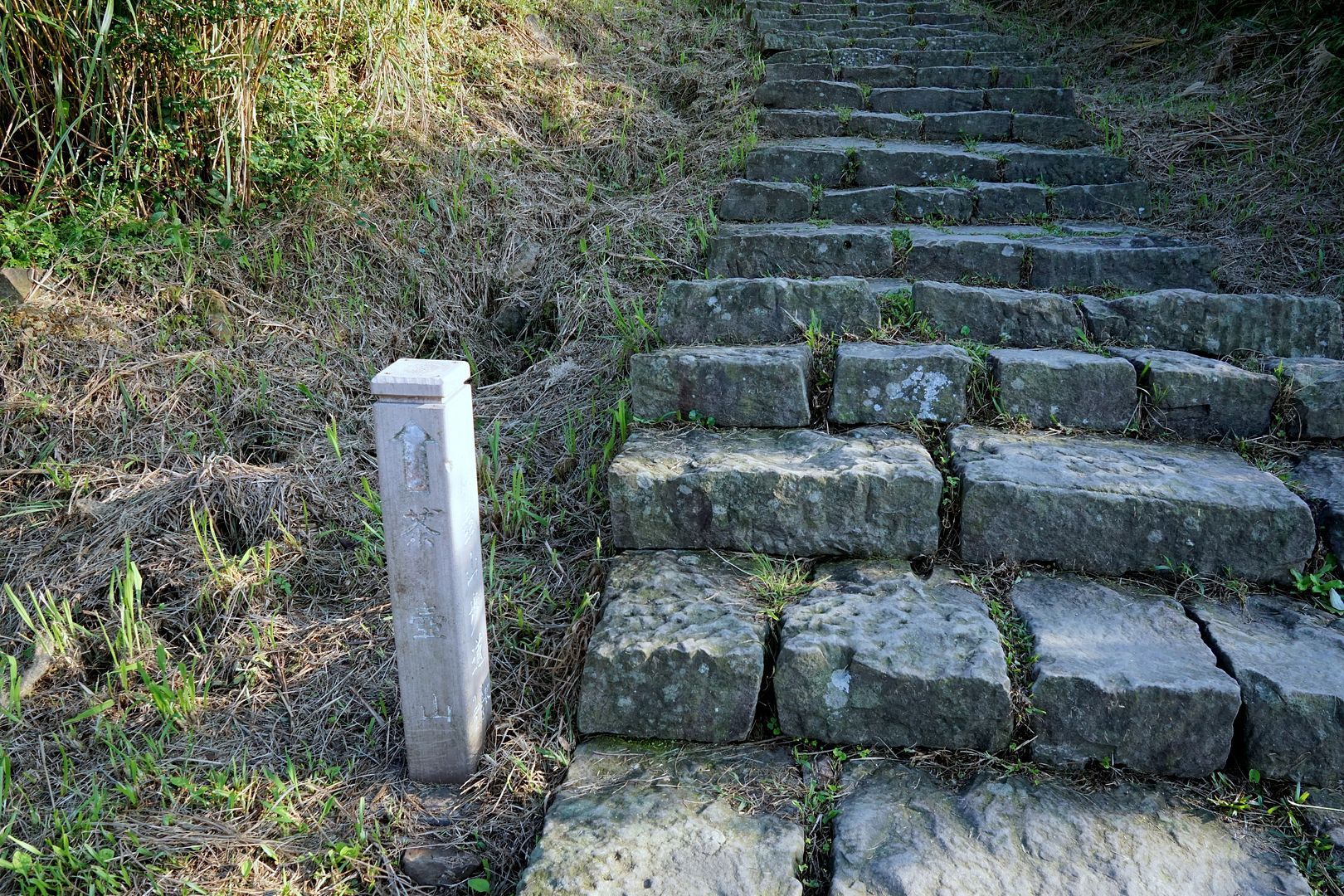  photo DSC00277_zpskhthgxlp.jpg