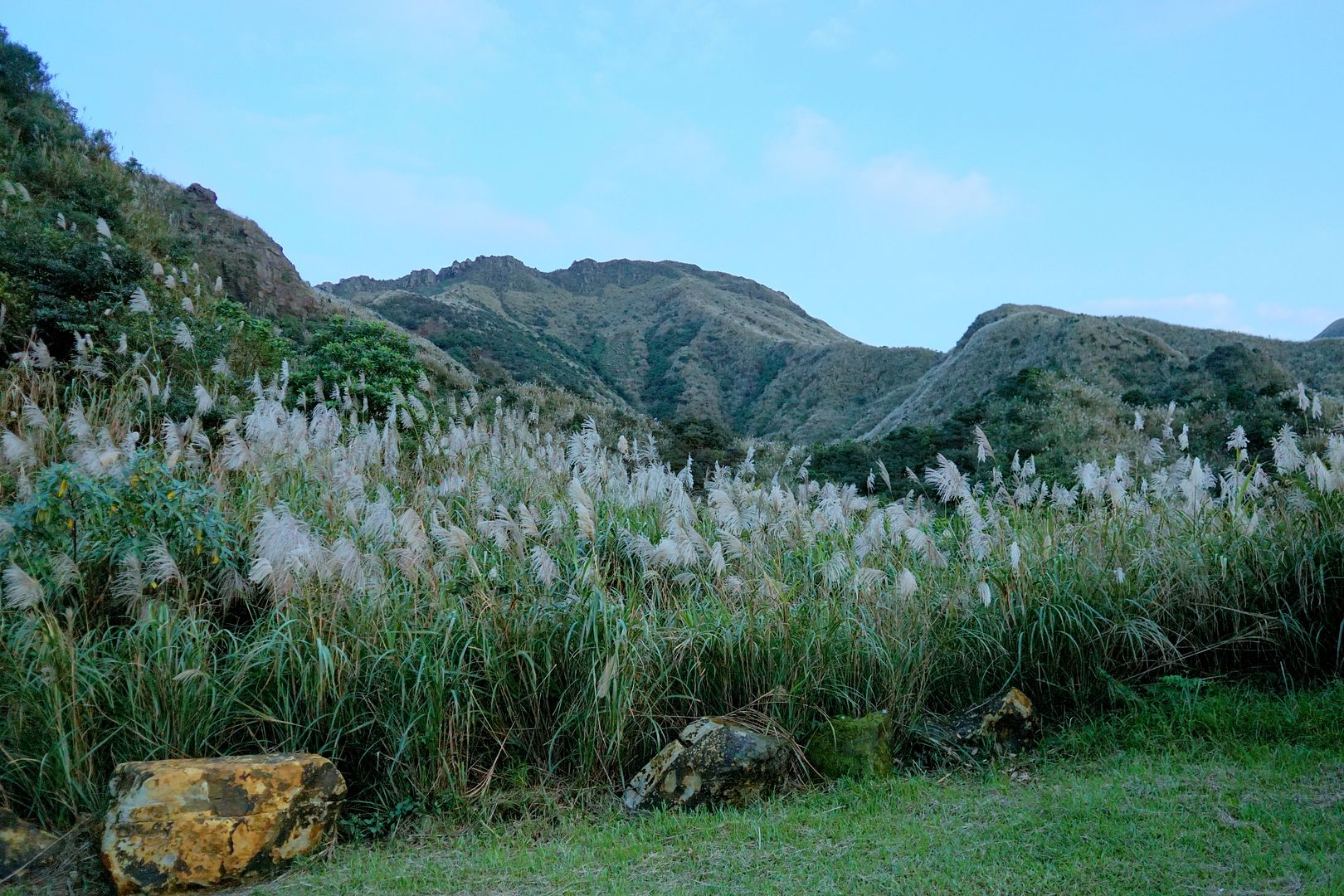  photo DSC00306_zpsbztdsity.jpg