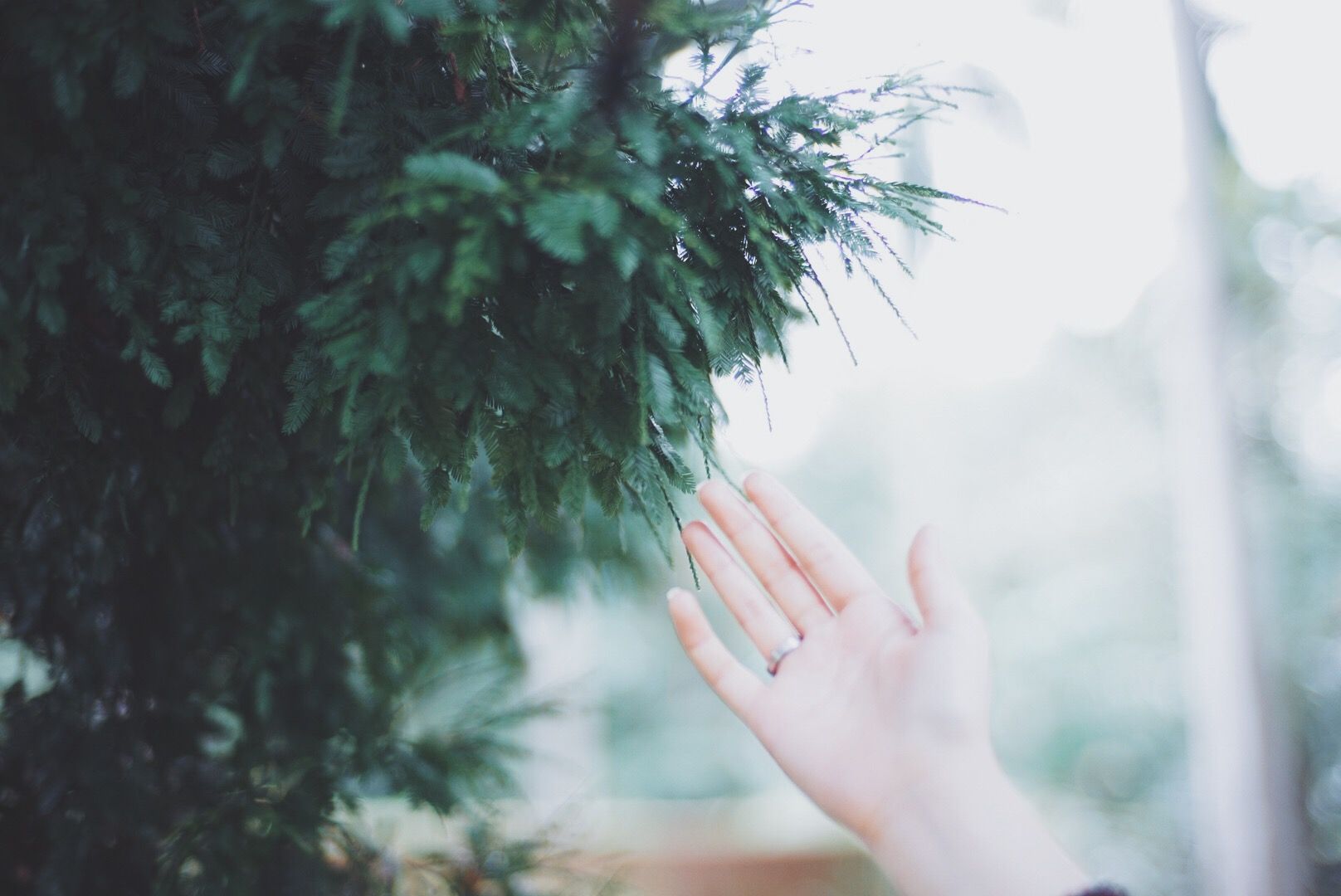  photo IMG_7877_zpsoi3tcxsf.jpg