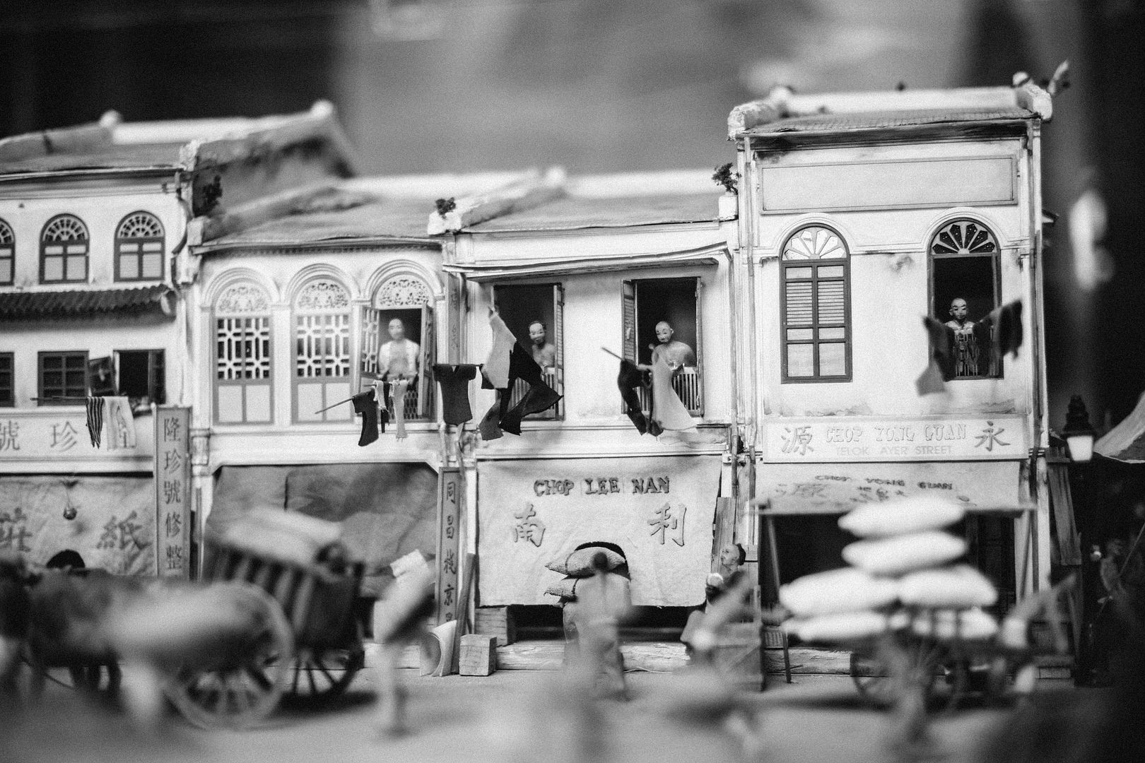  photo DSC03647_zpssc1xeecu.jpg