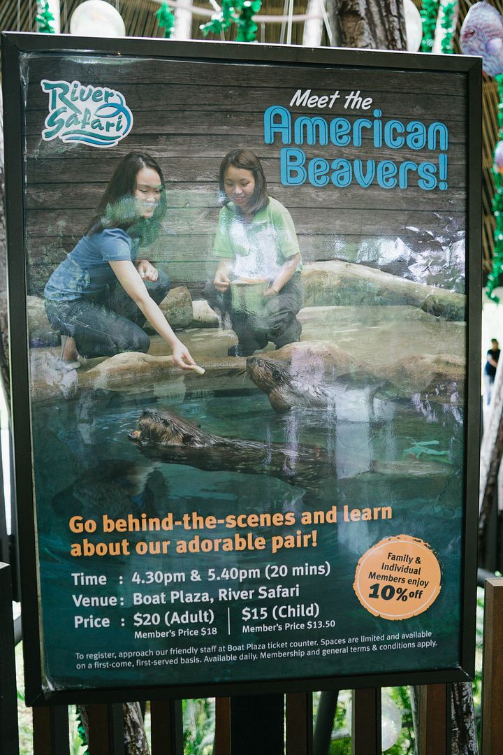 photo 10_zps7ttgzpz2.jpg