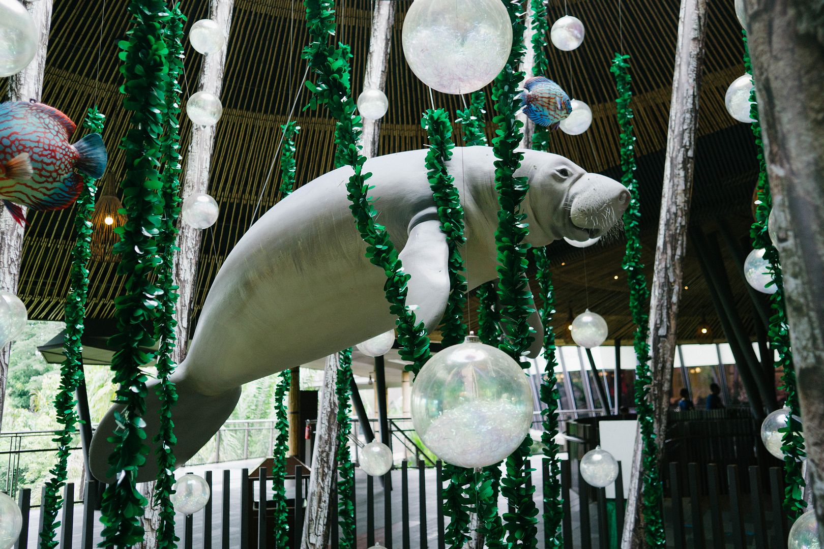 photo 11_zps9trtivzi.jpg