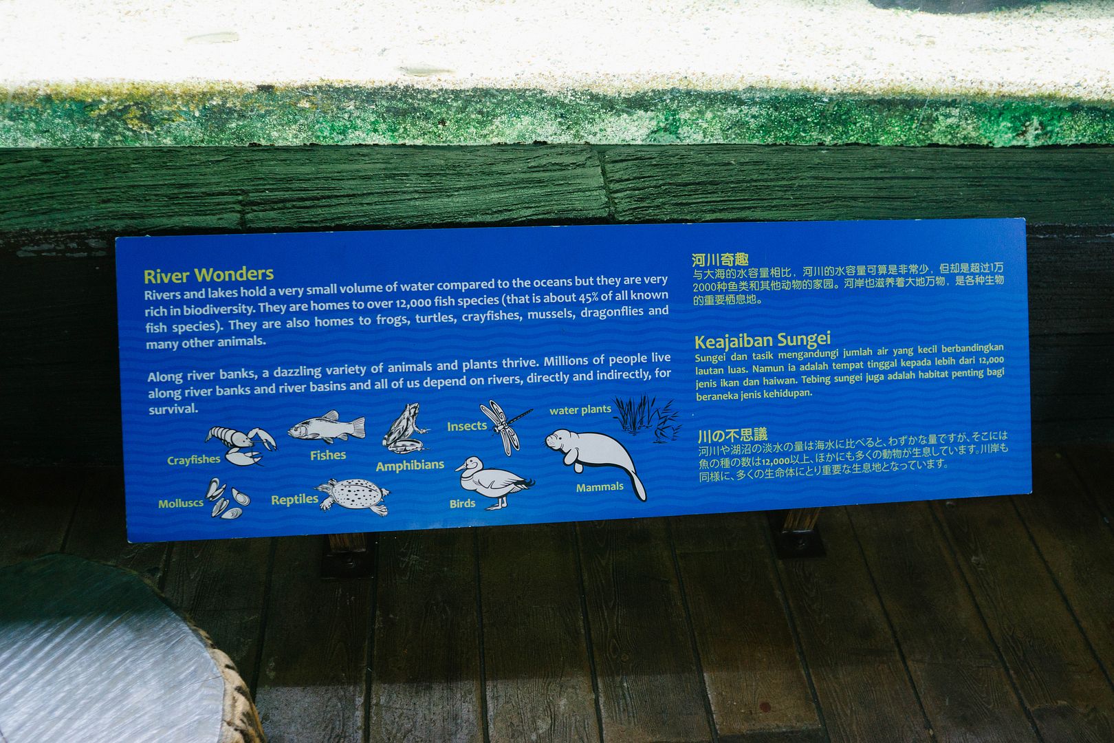 photo 13_zpszqm7qaj9.jpg