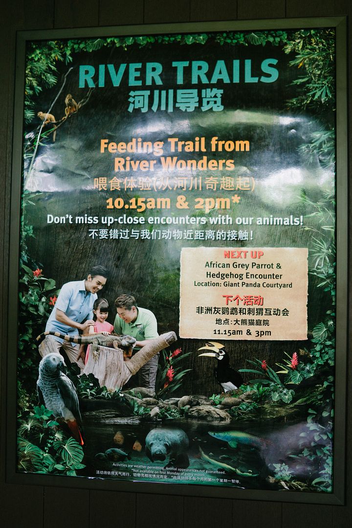 photo 15_zpsq842upqg.jpg