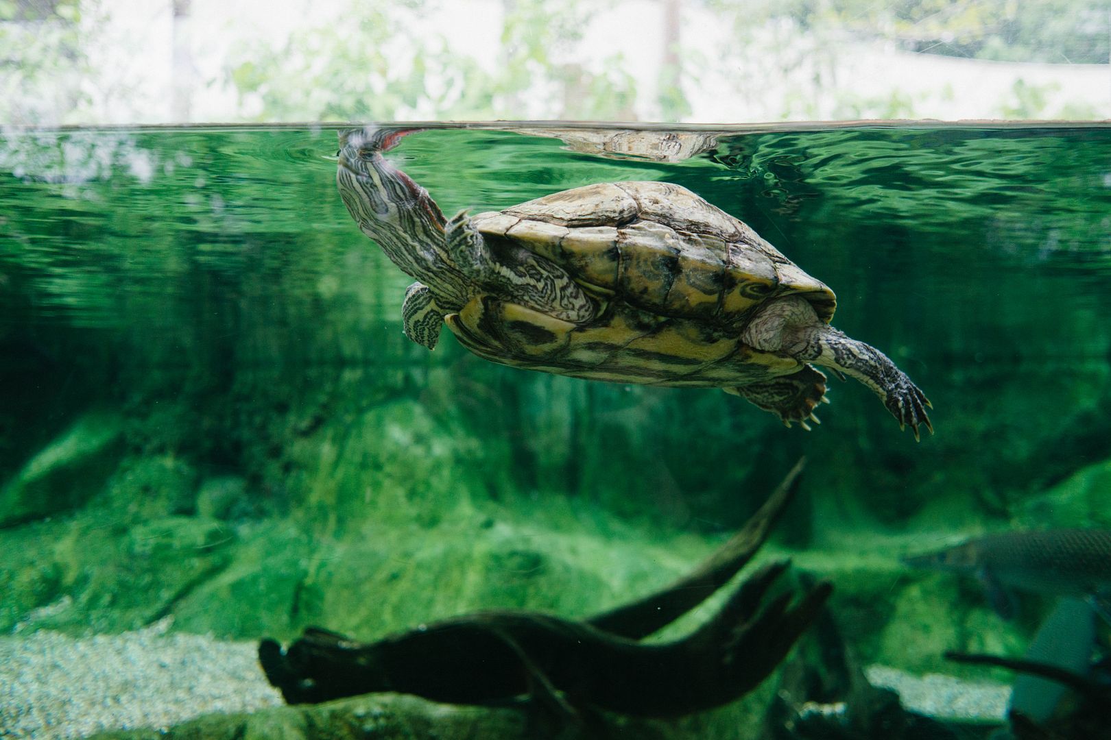 photo 17_zpsyxwnhtpf.jpg