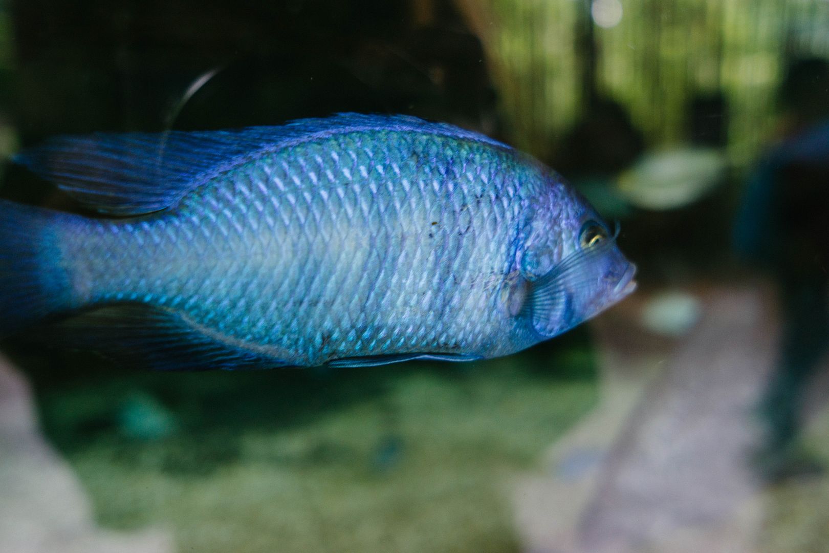 photo 18_zpssmovniax.jpg