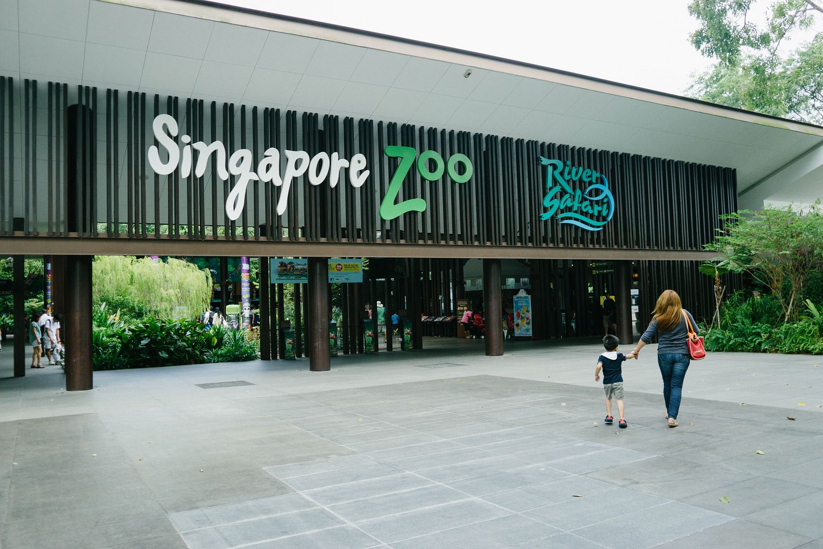 photo 1_zpshqqrehlx.jpg