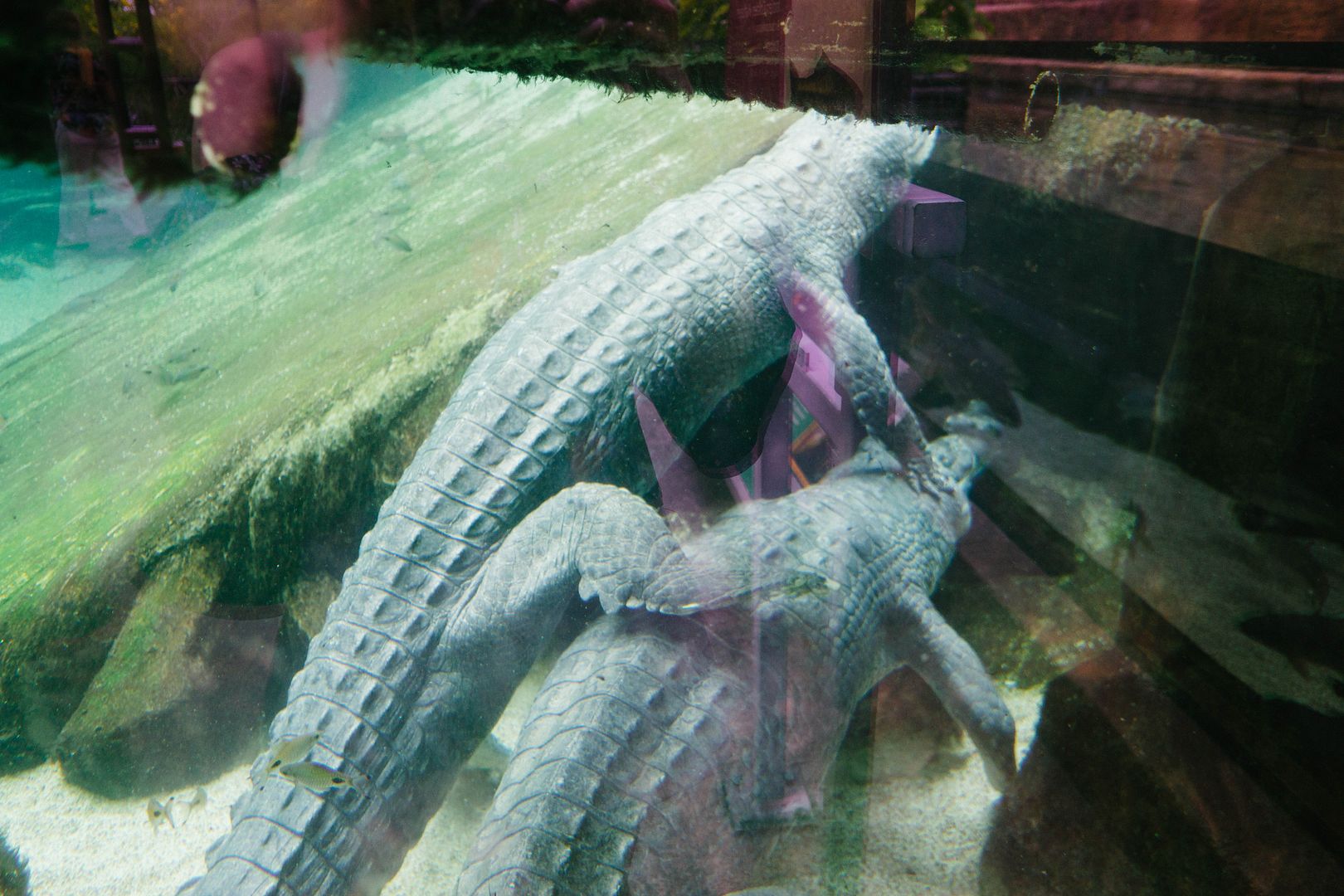 photo 22_zpsseudfdns.jpg