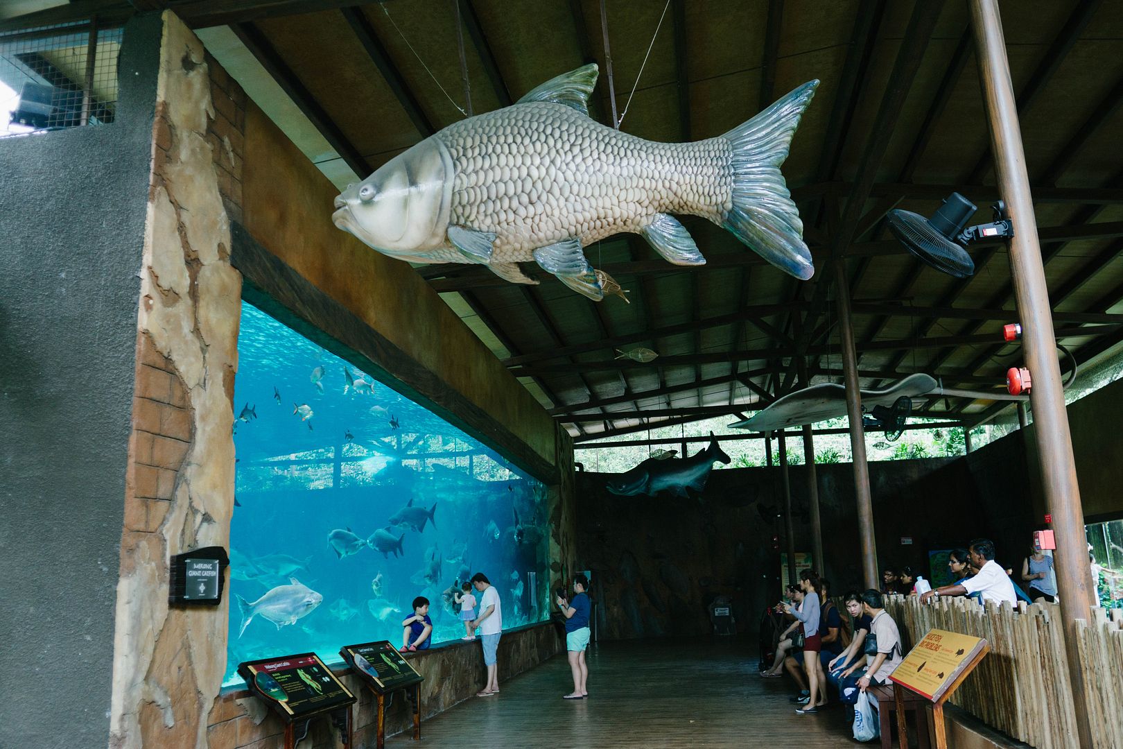 photo 25_zpscoras23e.jpg