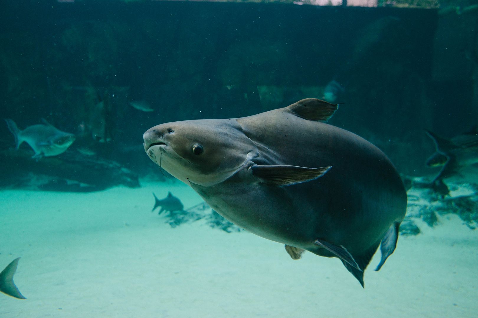 photo 27_zpsaexgpfnz.jpg