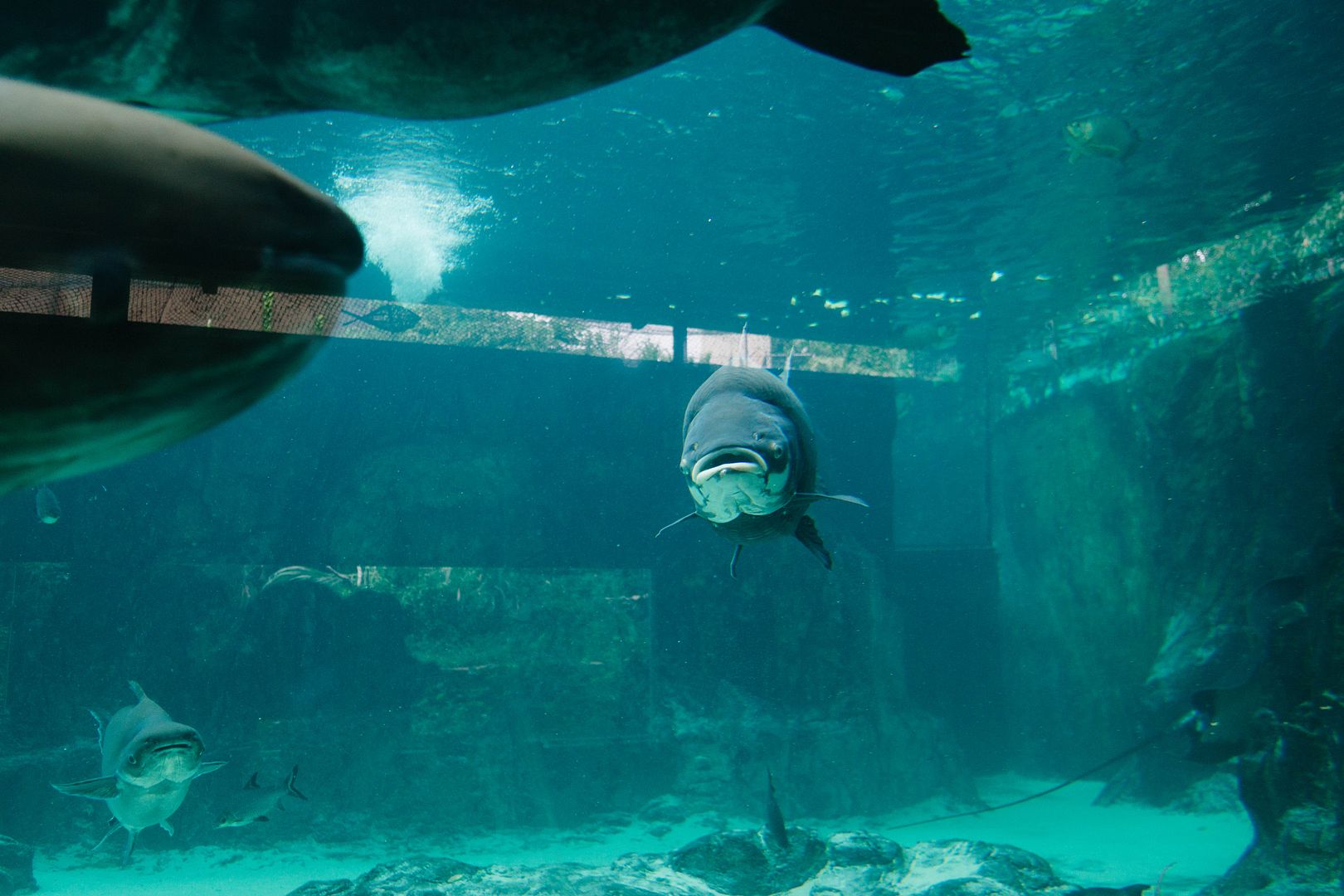 photo 28_zpssueiln7v.jpg