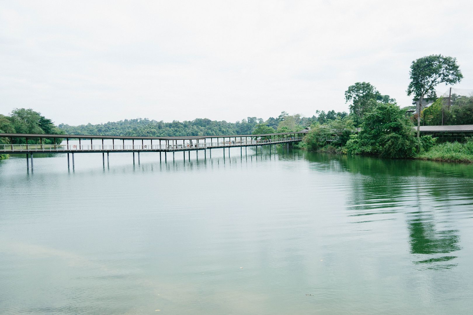 photo 33_zps8gs4jnuf.jpg