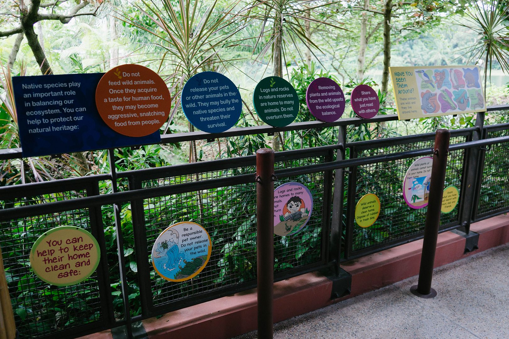 photo 43_zpsbh6awckc.jpg