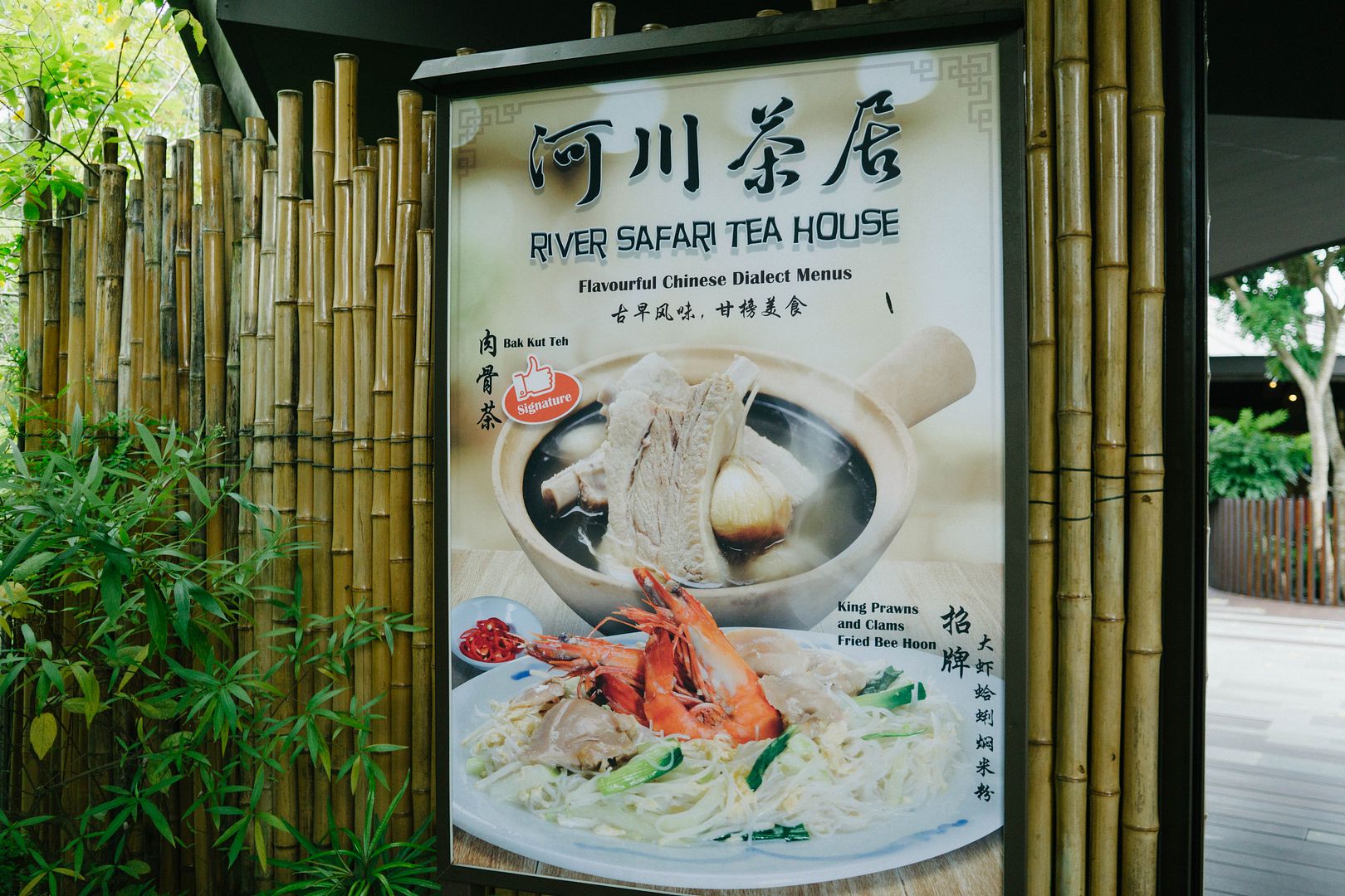 photo 8_zpskfpsafja.jpg