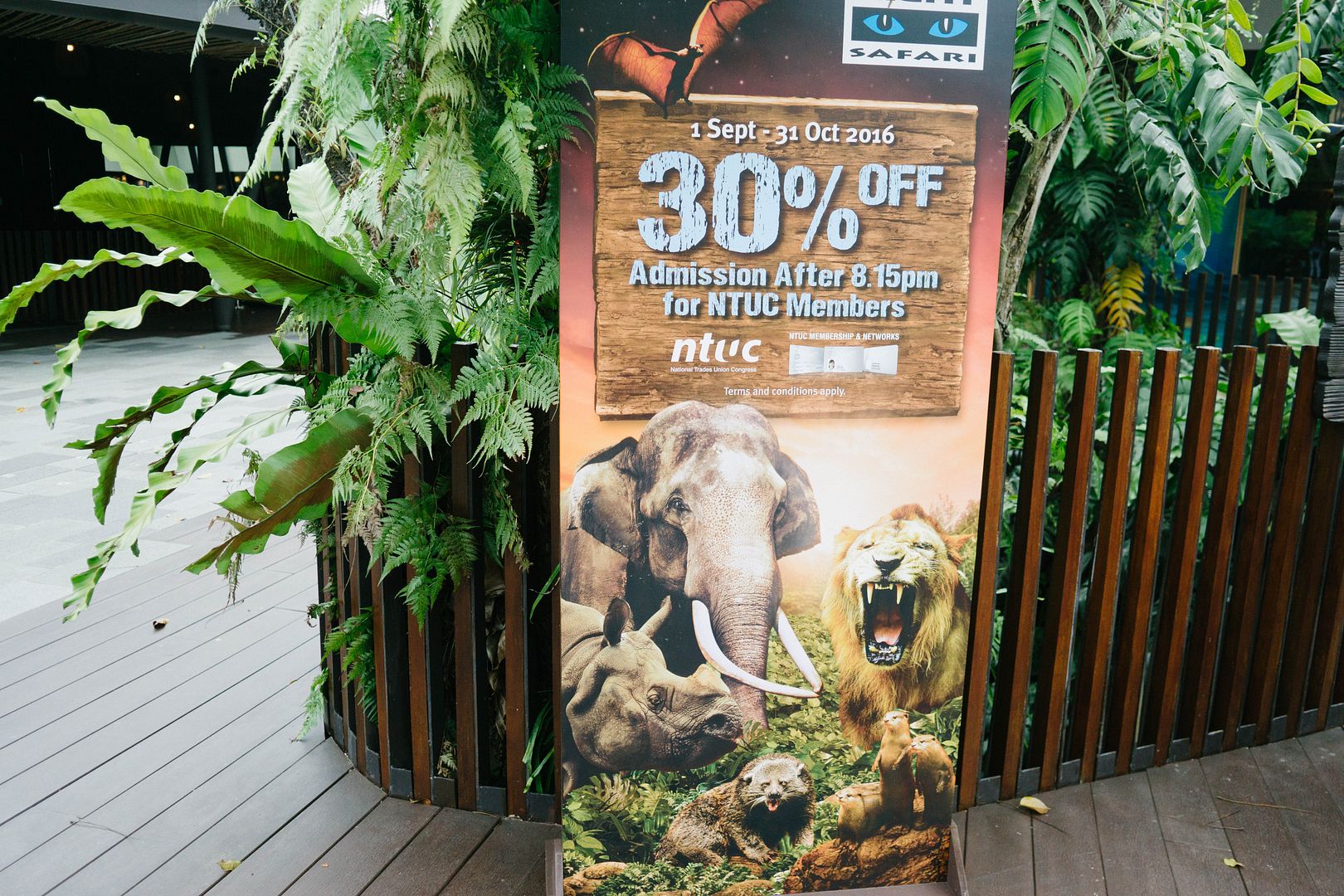 photo 9_zpsuntiouch.jpg