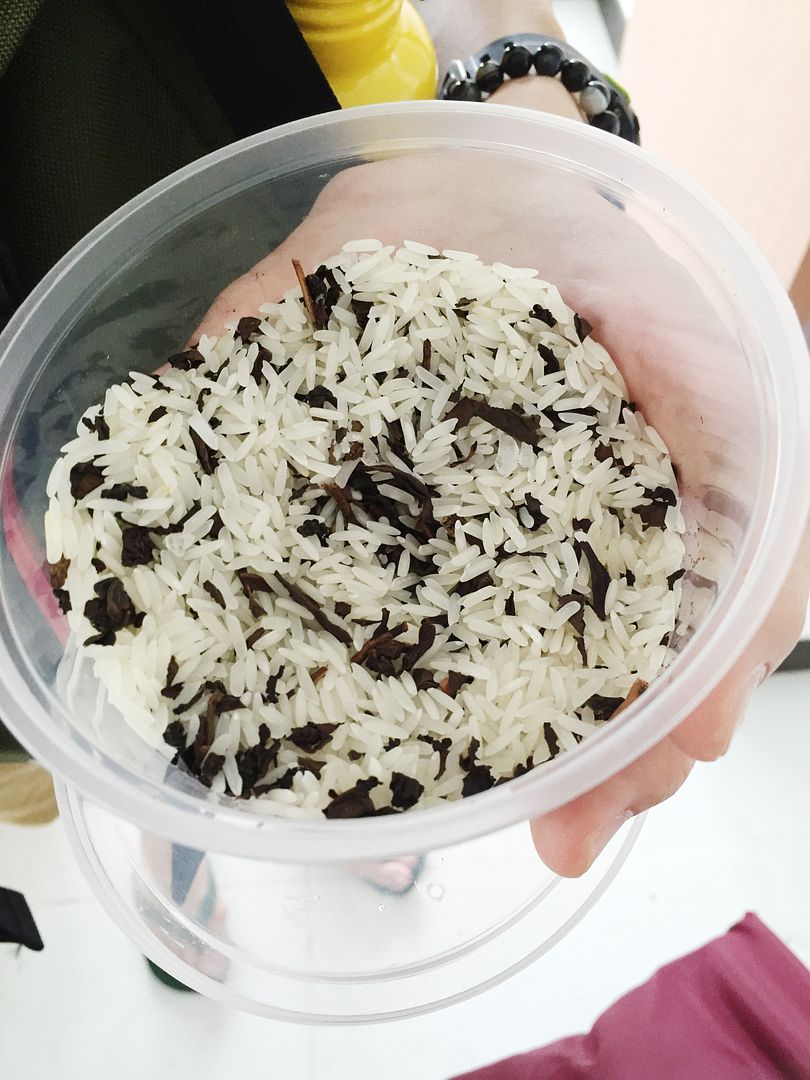  photo IMG_9857 1_zps0r5xla6t.jpg