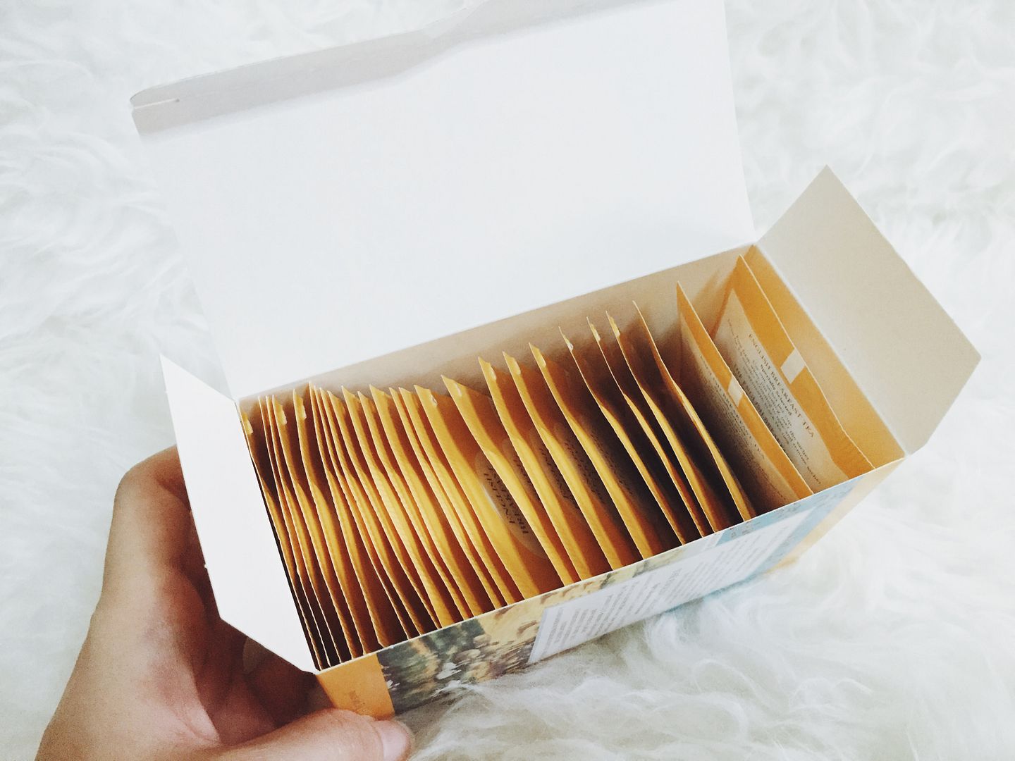 photo IMG_8896_zpsxfzoxsxh.jpg