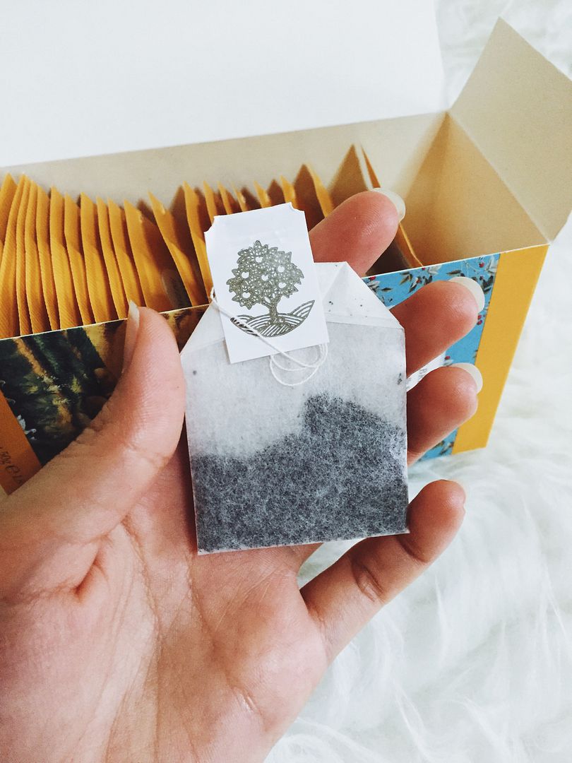 photo IMG_8898_zpsp3agy78l.jpg