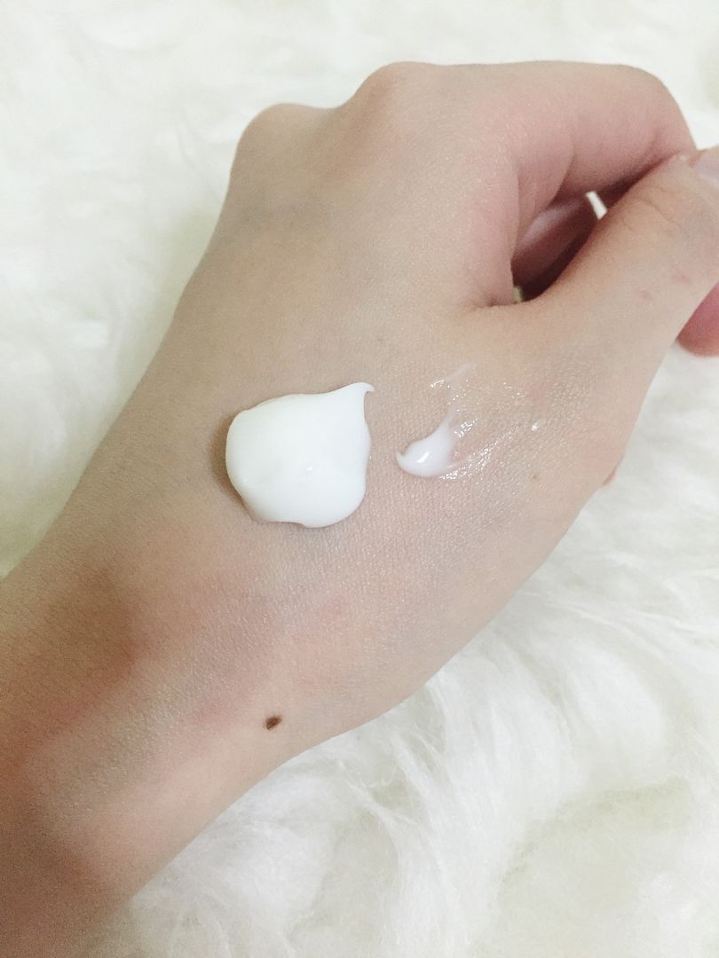 photo IMG_9577_zps95ylciis.jpg